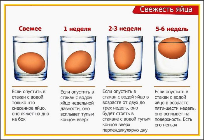 сколько можно хранить яйца