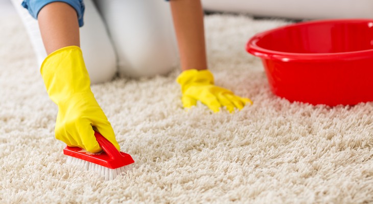 как почистить палас в домашних условиях